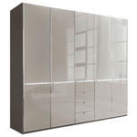 DREHTÜRENSCHRANK 250/216/58 cm 5-türig Grau, Dunkelgrau  - Chromfarben/Dunkelgrau, KONVENTIONELL, Glas/Holzwerkstoff (250/216/58cm) - Novel