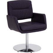 NASLANJAČ, kovina, usnje nerjaveče jeklo, robida - robida/nerjaveče jeklo, Design, kovina/usnje (65/88/64cm) - Moderano