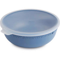 SCHÜSSEL TRESA   - Blau/Transparent, Basics, Kunststoff (14,2/13,2/5,5cm) - Rotho
