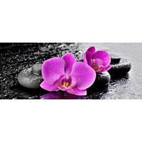 GLASBILD Orchideen, Steine, Zen 125/50 cm  - Pink/Schwarz, Basics, Glas (125/50cm) - Monee