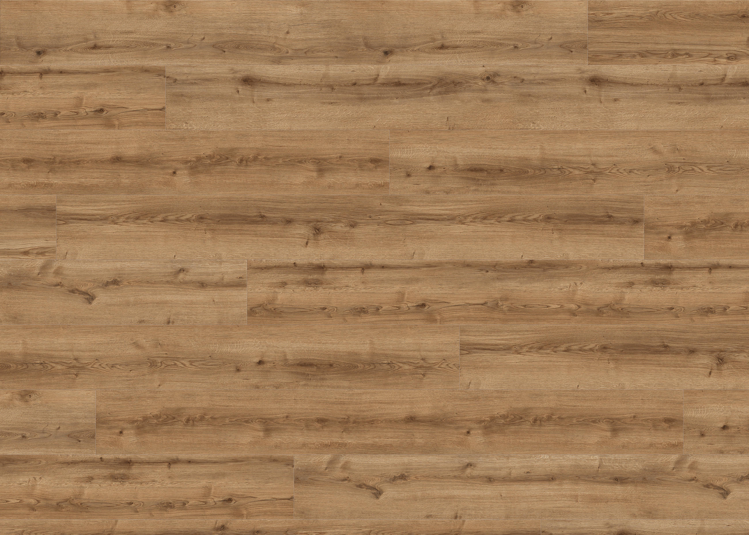 DESIGNBODEN Living by HARO Designboden PowerStar XL  per  m² - Eichefarben, Basics, Holzwerkstoff (24.3/220cm) - Living by HARO