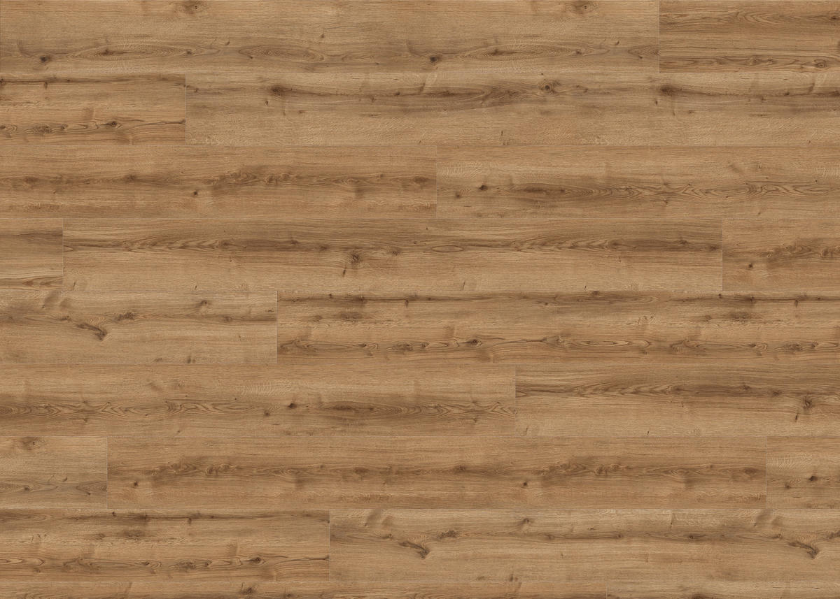 DESIGNBODEN Living by HARO Designboden PowerStar XL  per  m² - Eichefarben, Basics, Holzwerkstoff (24.3/220cm) - Living by HARO