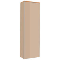 GARDEROBENSCHRANK  in 54/170/31 cm  - Eichefarben/Silberfarben, Design, Glas/Holz (54/170/31cm)