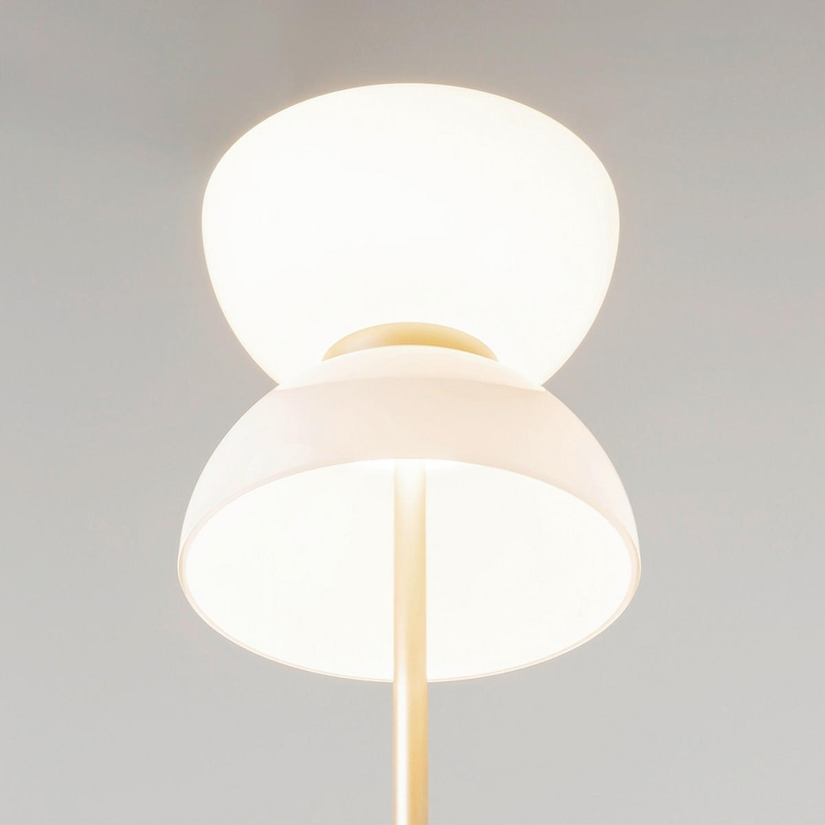 WANDLEUCHTE Tropic 21.5/56.4/17 cm  - Messingfarben, Design, Metall (21.5/56.4/17cm) - MAYTONI