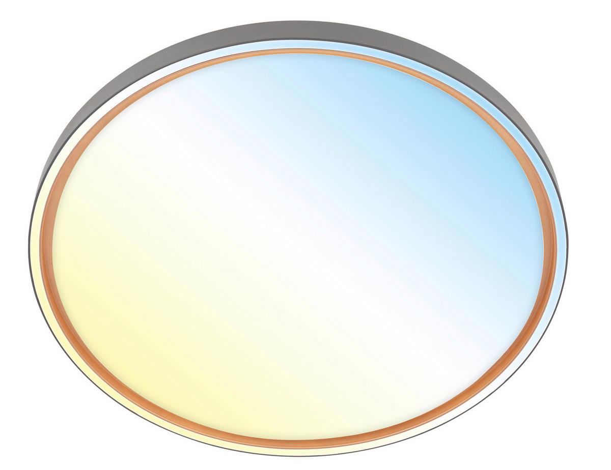 STROPNÉ LED SVIETIDLO, 49.5/6,5 cm  - svetlohnedá/svetlosivá, Basics, kov/plast (49.5/6,5cm)