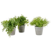 KUNSTPFLANZE Farn  - Grau, Basics, Kunststoff (15/17cm)