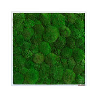 MOOSBILD Stylegreen  - Weiß/Grün, Basics, Naturmaterialien/Holz (55/55/7cm)