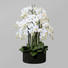 KUNSTBLUME Orchidee - Dunkelgrün/Weiß, Basics, Kunststoff (93cm) KUNSTBLUME Orchidee - Dunkelgrün/Weiß, Basics, Kunststoff (93cm)