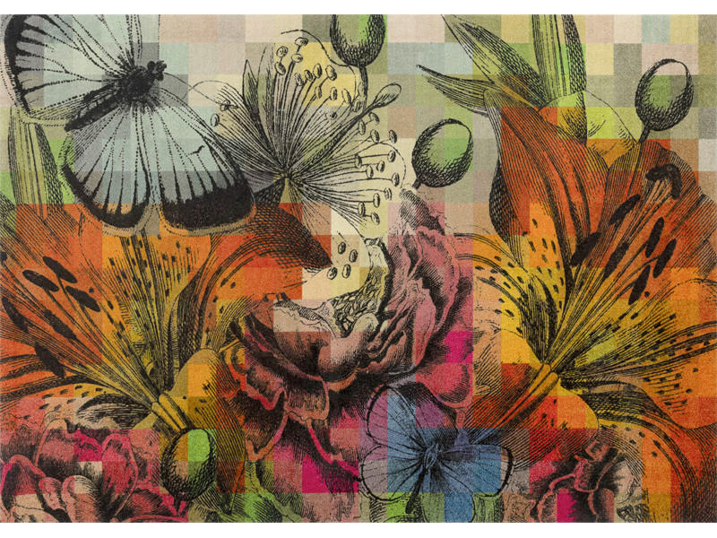 Covor Magic Garden  - multicolor, Konventionell, plastic/textil (170/240cm) - wash+dry