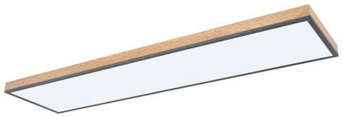 STROPNA LED-SVETILKA  DORO //2700-6000 K/230 V/ - barve grafita/opal, Basics, kovina/umetna masa (120/30/7,5cm) - Globo