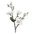 KUNSTBLUME - Braun, Basics, Kunststoff/Textil (64cm) KUNSTBLUME - Braun, Basics, Kunststoff/Textil (64cm)
