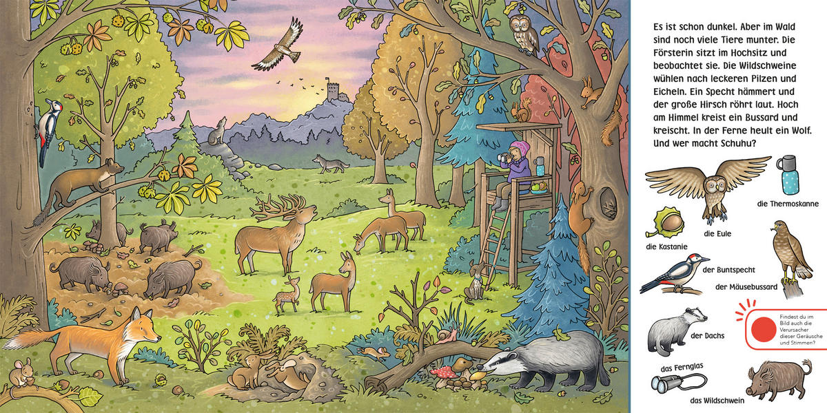 BUCH - Multicolor, Basics, Papier (18/18/1,85cm) - Carlsen