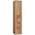 HOCHSCHRANK 35/165/37 cm  - Edelstahlfarben/Alteiche, Design, Glas/Holz (35/165/37cm) - Dieter Knoll