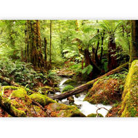 FOTOTAPETE - Hellgrün/Grün, LIFESTYLE, Textil (150/105cm) - artgeist