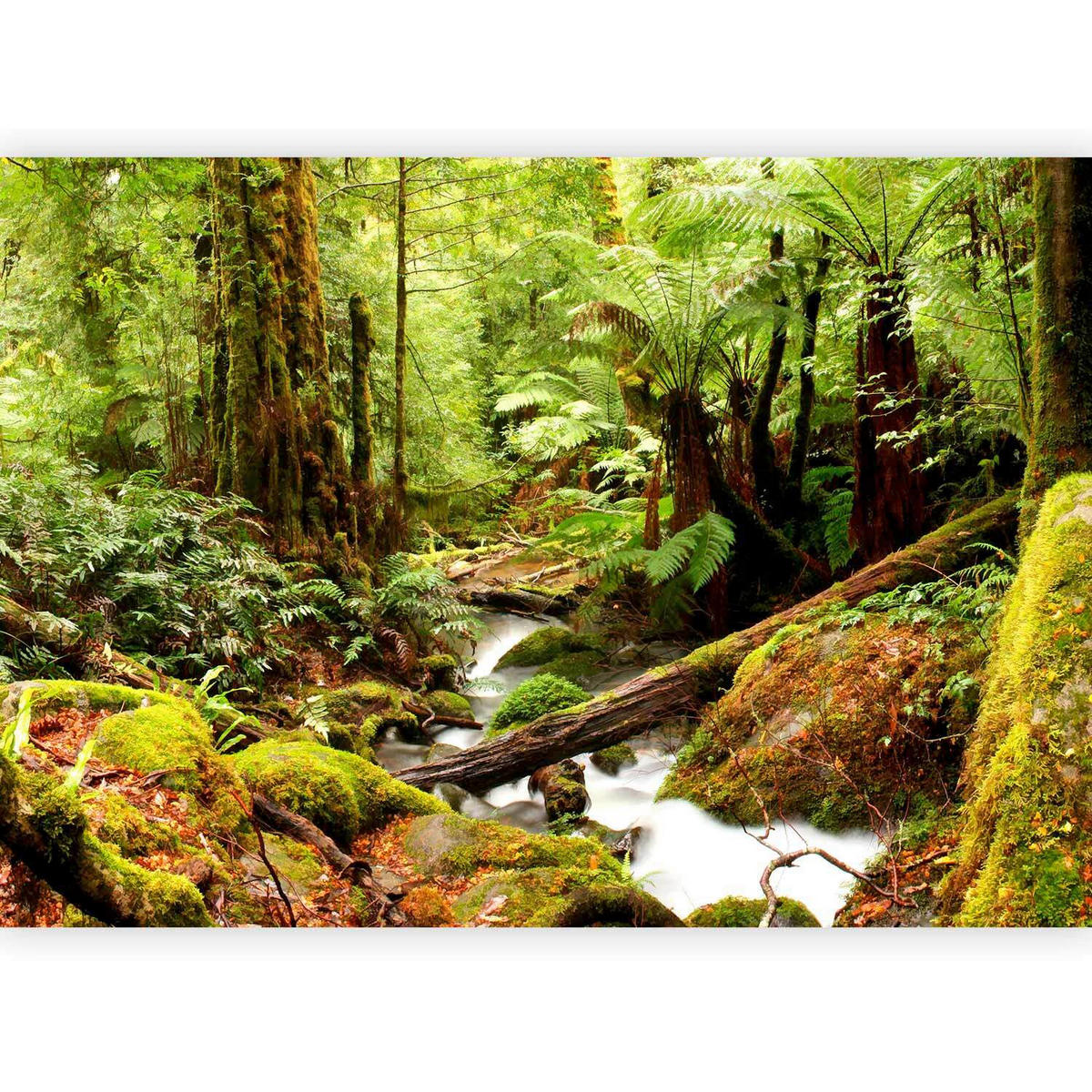 FOTOTAPETE - Hellgrün/Grün, LIFESTYLE, Textil (150/105cm) - artgeist