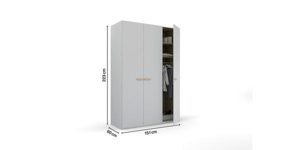 DREHTÜRENSCHRANK 151/223/60 cm 3-türig Grau - Grau, Trend, Holz/Holzwerkstoff (151/223/60cm) - Novel
