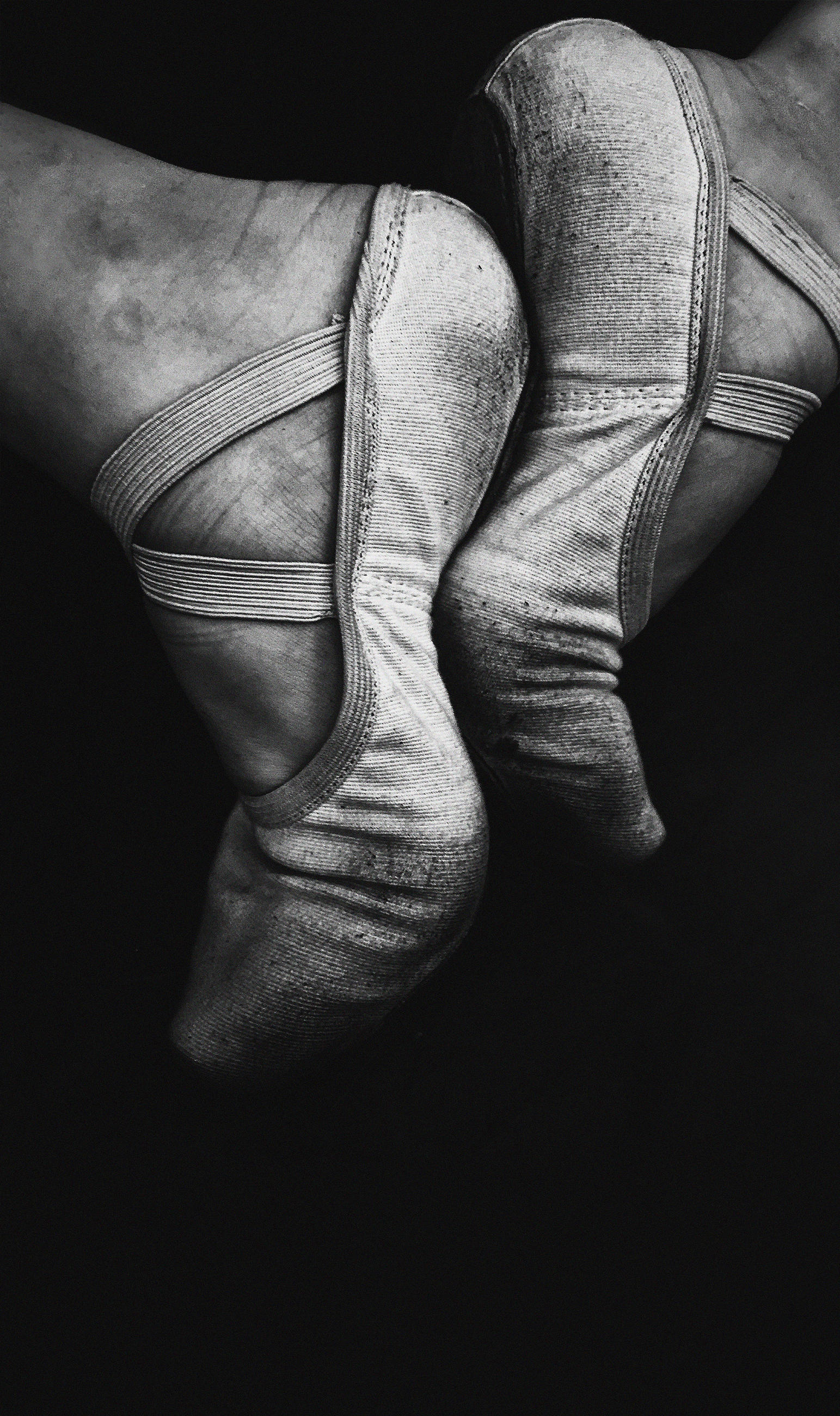 ALUMINIUMBILD 70/118 cm  - Schwarz/Grau, Design, Metall (70/118cm) - Wandkraft