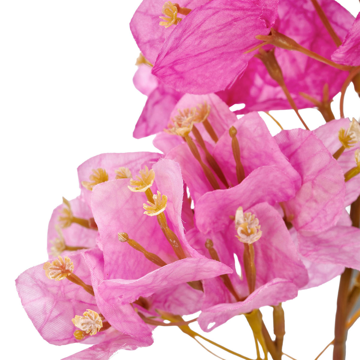 KUNSTBLUME Bougainvillea  - Hellbraun/Violett, Basics, Kunststoff (60cm)
