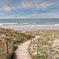 GLASBILD Strand & Meer 50/50 cm  - Multicolor, Natur, Glas (50/50cm) - Euroart