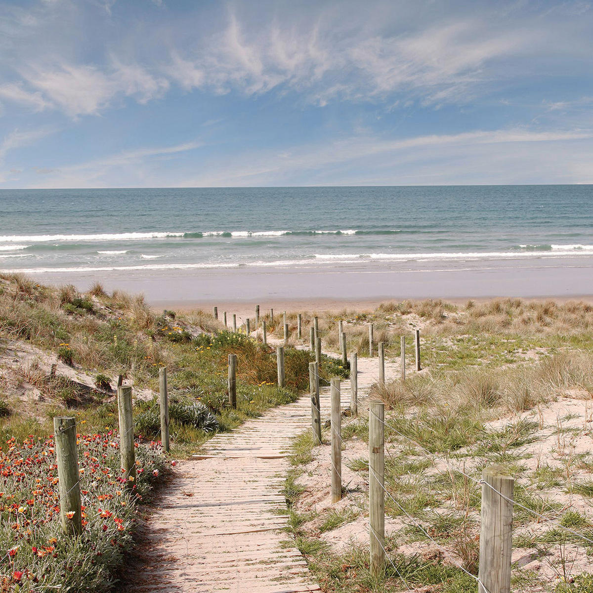 GLASBILD Strand & Meer 50/50 cm  - Multicolor, Natur, Glas (50/50cm) - Euroart