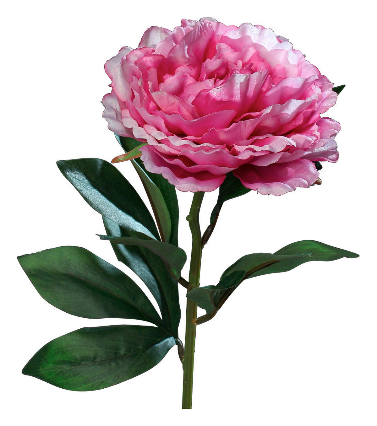 KUNSTBLUME - Pink/Grün, Basics, Kunststoff/Textil (63cm)