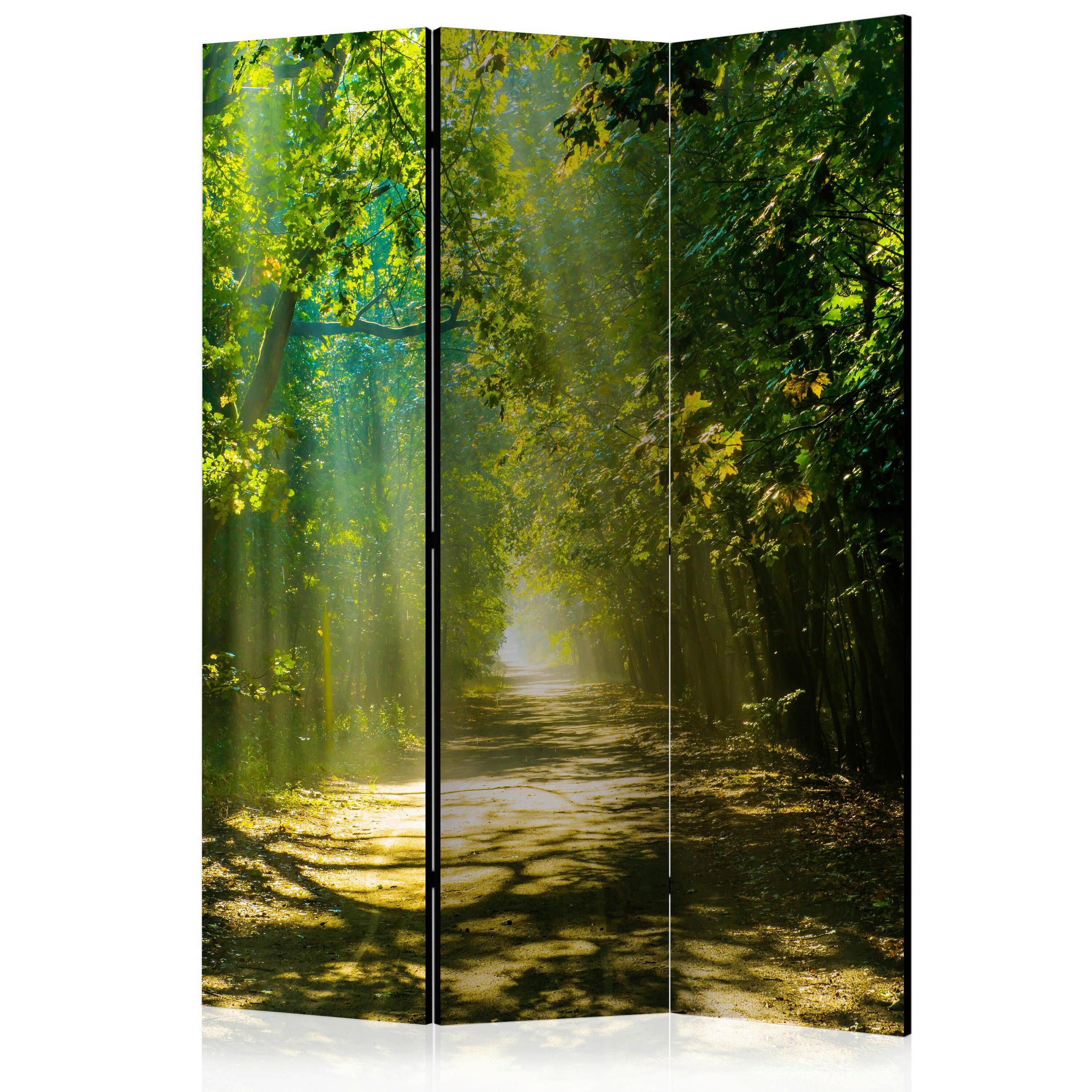 artgeist PARAVÁN, 135/172/3 cm