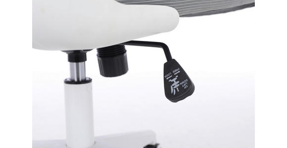 DREHSTUHL  in Netzbespannung Grau, Weiß  - Weiß/Grau, KONVENTIONELL, Kunststoff/Textil (63,5/122-132/66cm) - Carryhome