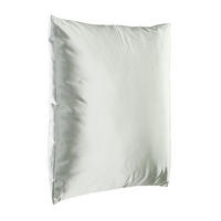 ZIERKISSEN  45/45 cm   - Hellgrün, Basics, Textil (45/45cm) - Eglo