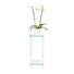 BLUMENTISCH Glas - Klar/Weiß, Design, Glas/Holzwerkstoff (25/60/25cm) - Carryhome