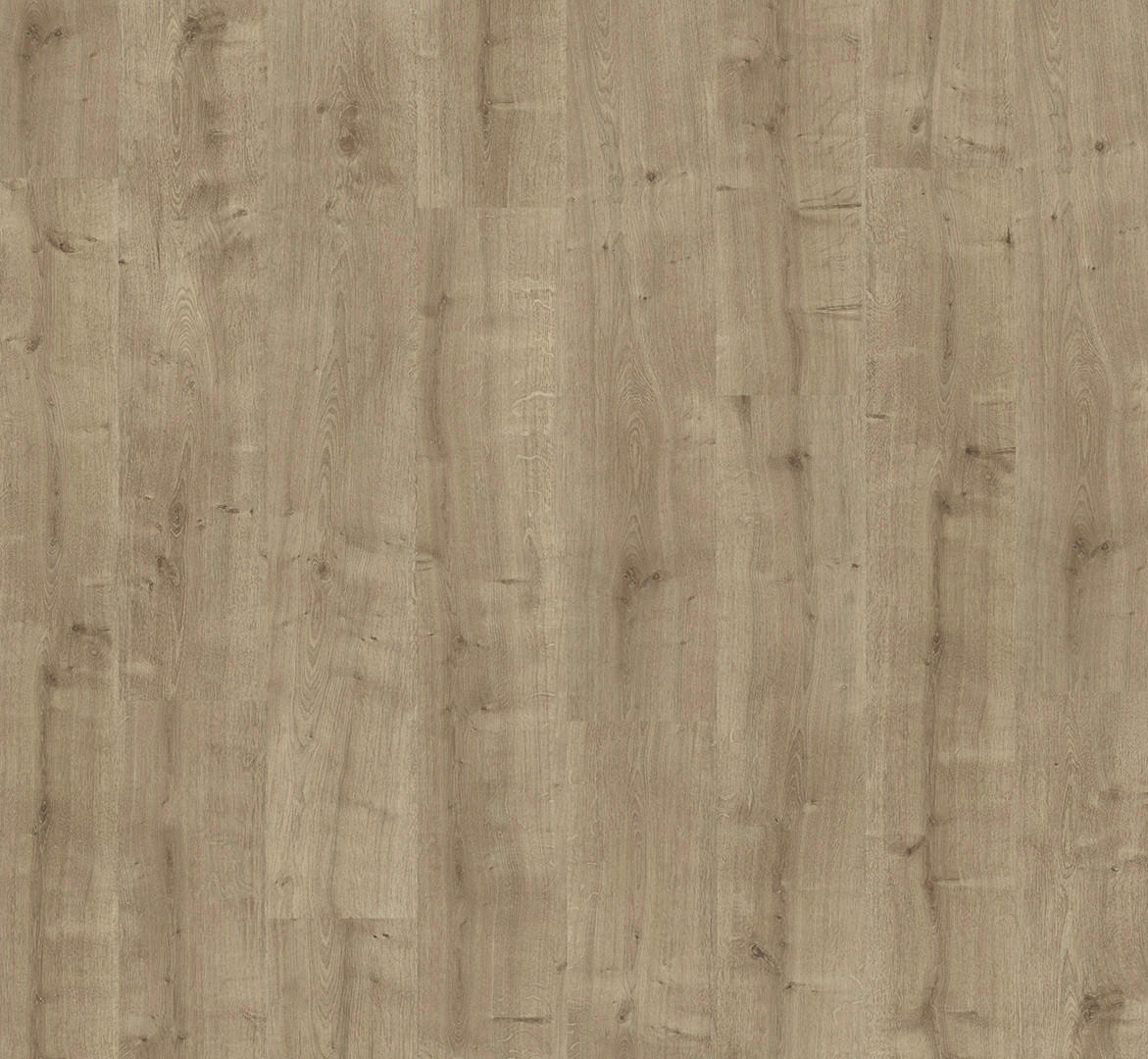 LAMINATBODEN Laminat Basic 400  per  m² - Eichefarben, Basics, Holzwerkstoff (128.5/19.4/0.8cm) - Parador