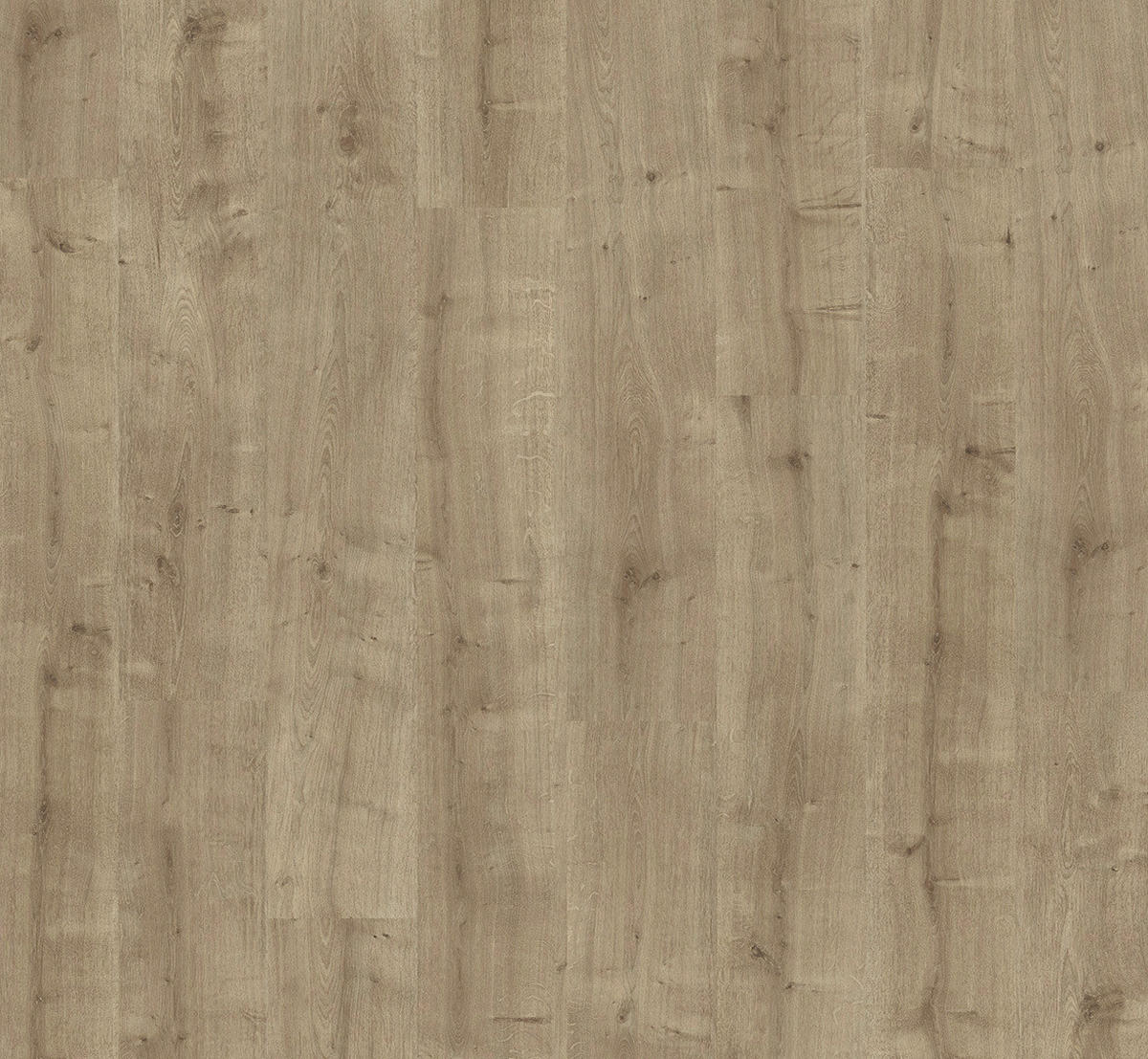 LAMINATBODEN Laminat Basic 400  per  m² - Eichefarben, Basics, Holzwerkstoff (128.5/19.4/0.8cm) - Parador