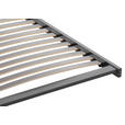 LATTENROST TOPFORM SPRINT S 80/210 cm Mittelzone verstellbar, Birke, Buche  - Dunkelgrau/Rot, Basics, Holz (80/210cm) - Novel