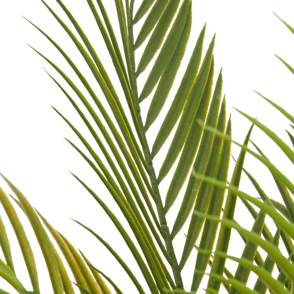 KUNSTPFLANZE Palme 125 cm  - Creme/Braun, Basics, Kunststoff (125cm)