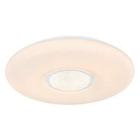LED MENNYEZETI LÁMPA - opál/fehér, Basics, műanyag/fém (41/7cm)