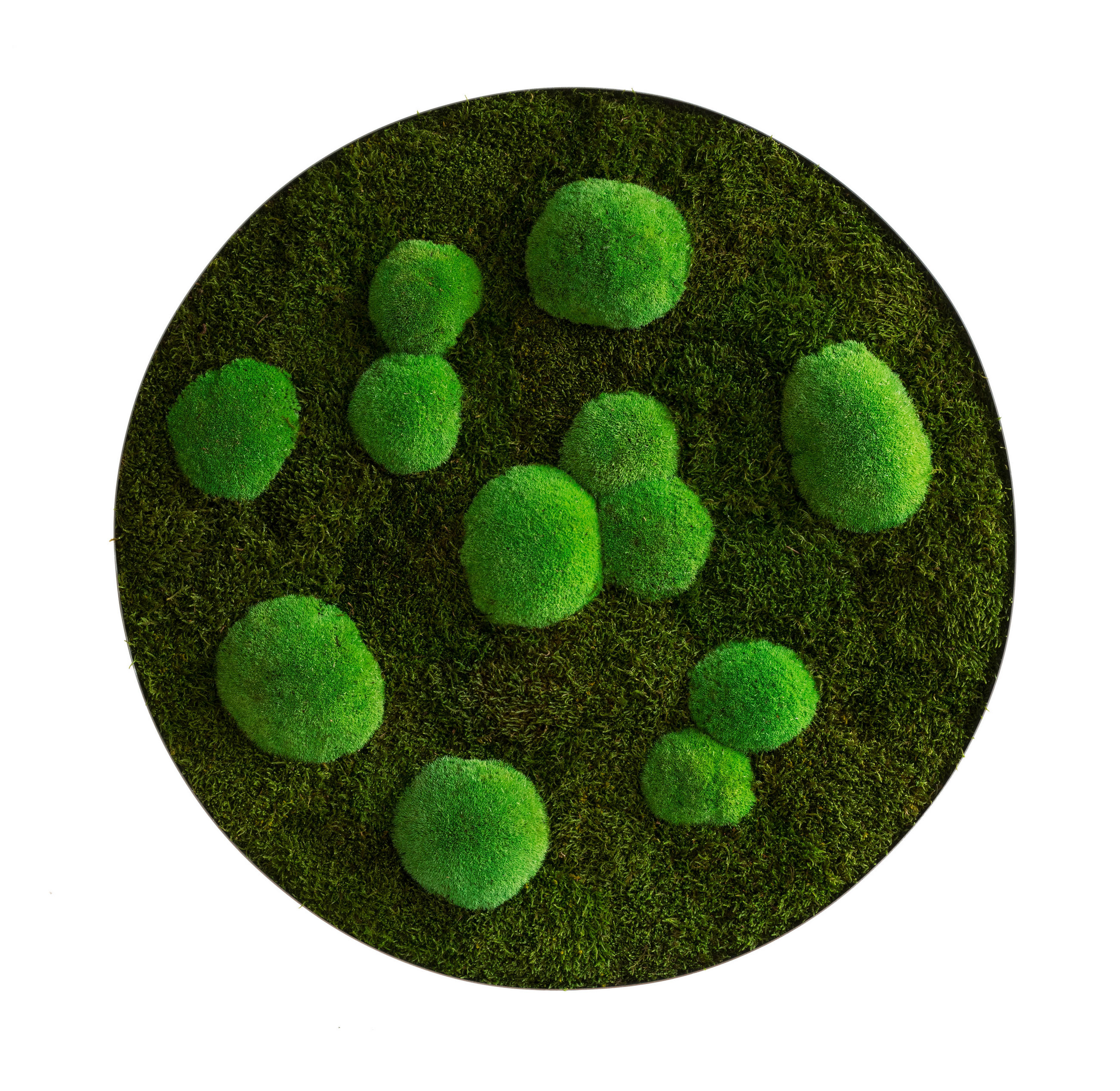 MOOSBILD Stylegreen  - Grün, Basics, Naturmaterialien/Metall (80/6cm)