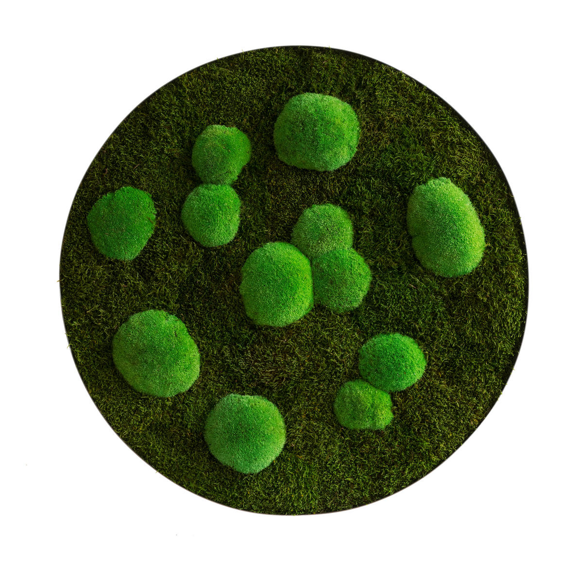 MOOSBILD Stylegreen  - Grün, Basics, Naturmaterialien/Metall (80/6cm)