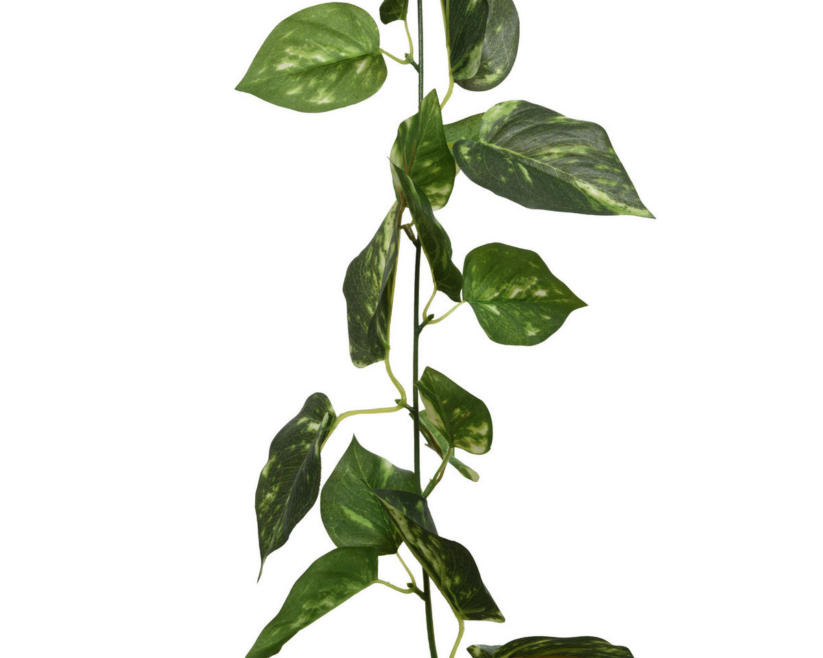 MŰNÖVÉNY - zöld, Basics, műanyag (180cm)