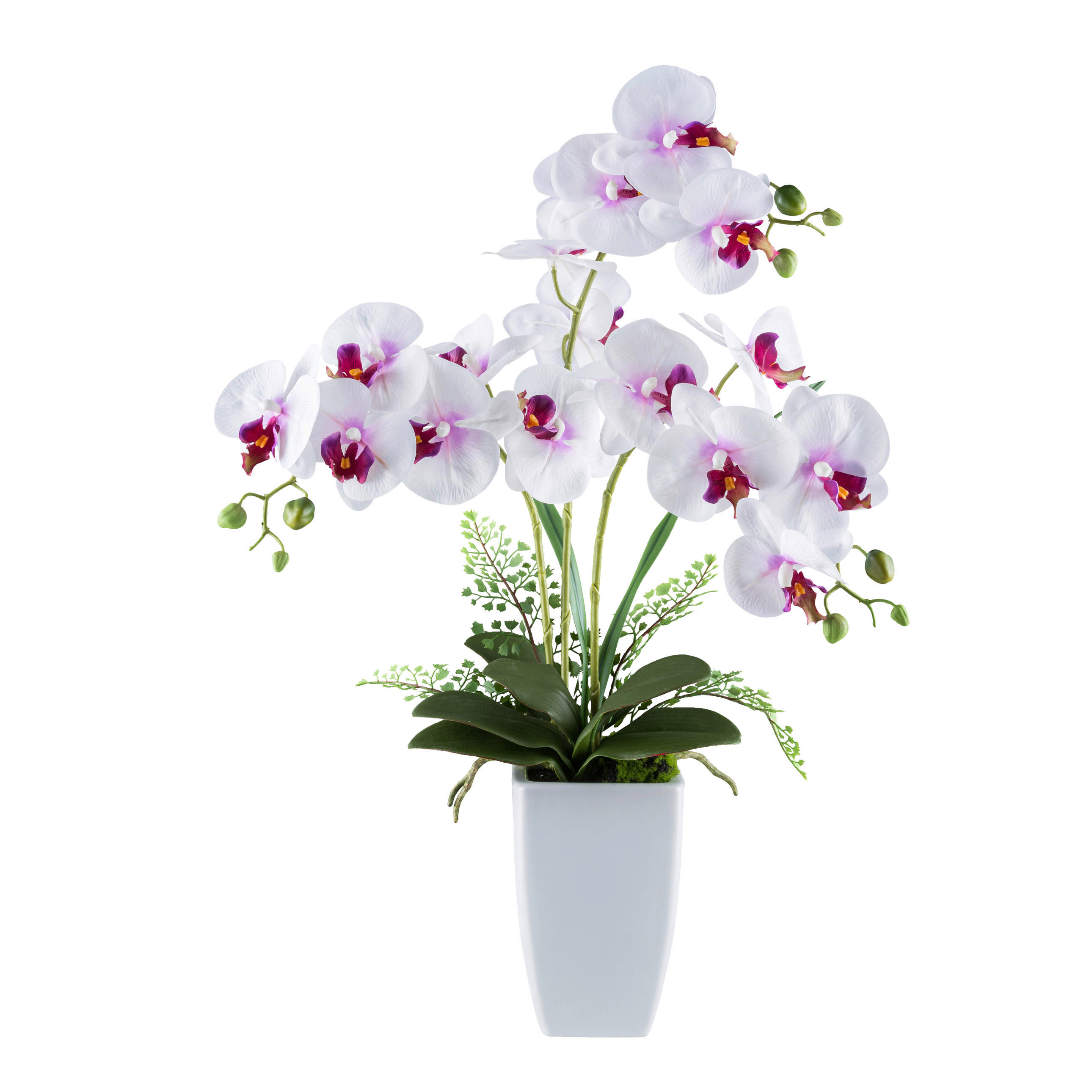 KUNSTPFLANZE Orchidee 67 cm  - Rosa/Weiß, Design, Keramik/Kunststoff (67cm) - P & B