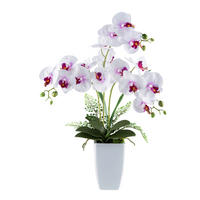 KUNSTPFLANZE Orchidee 67 cm  - Rosa/Weiß, Design, Keramik/Kunststoff (67cm) - P & B