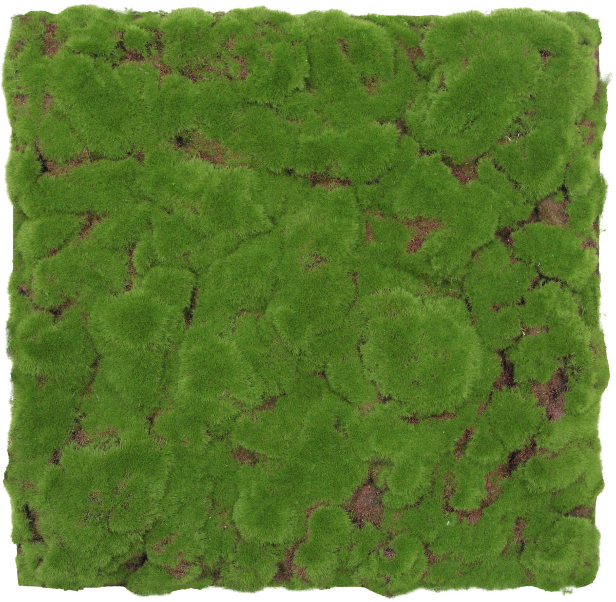 AKUSTIKPANEEL Modular Wall System Design Moos 52/52/2,6 cm  - Hellgrün, KONVENTIONELL, Naturmaterialien (52/52/2,6cm) - Jangal