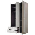 DREHTÜRENSCHRANK 135,4/225,5/57 cm 3-türig Weiß  - Schwarz/Weiß, MODERN, Glas/Holzwerkstoff (135,4/225,5/57cm) - Xora