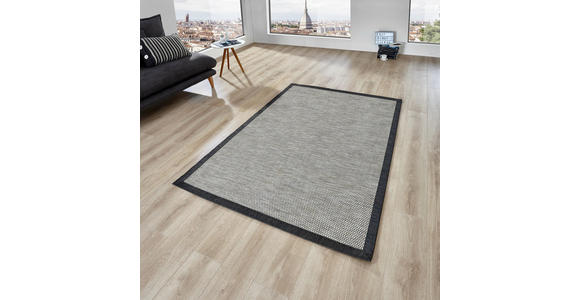 FLACHWEBETEPPICH IN-/ OUTDOOR 170/230 cm Anthrazit - Anthrazit, Basics, Textil (170/230cm) - Linea Natura