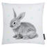 KISSENHÜLLE Multicolor 40/40 cm - Multicolor, Textil (40/40cm) KISSENHÜLLE Multicolor 40/40 cm - Multicolor, Textil (40/40cm)