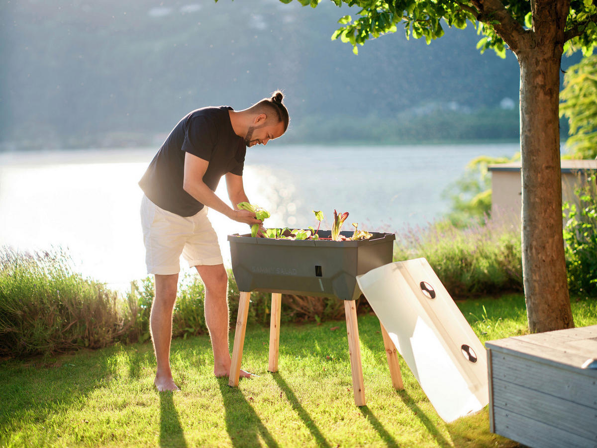 HOCHBEET 38/95/79 cm  - Anthrazit, Basics, Holz/Kunststoff (38/95/79cm) - Gusta Garden