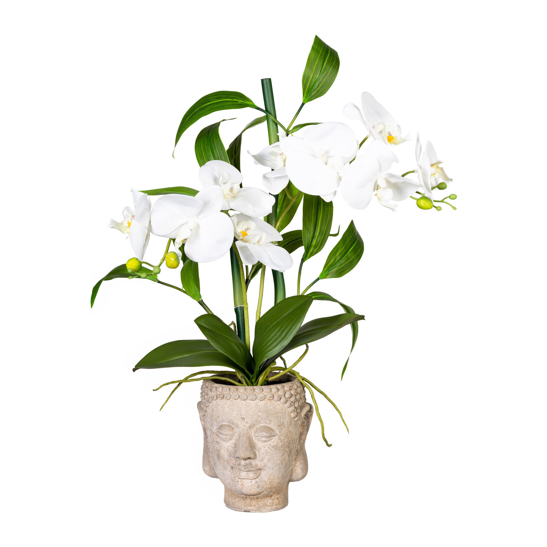 KUNSTPFLANZE Orchidee 60 cm - Braun/Weiß, Design, Kunststoff/Stein (60cm) - P & B
