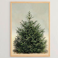 LEINWANDBILD Bäume 33/48/2 cm  - Waldgrün/Salbeigrün, Basics, Holzwerkstoff (33/48/2cm) - X-Mas