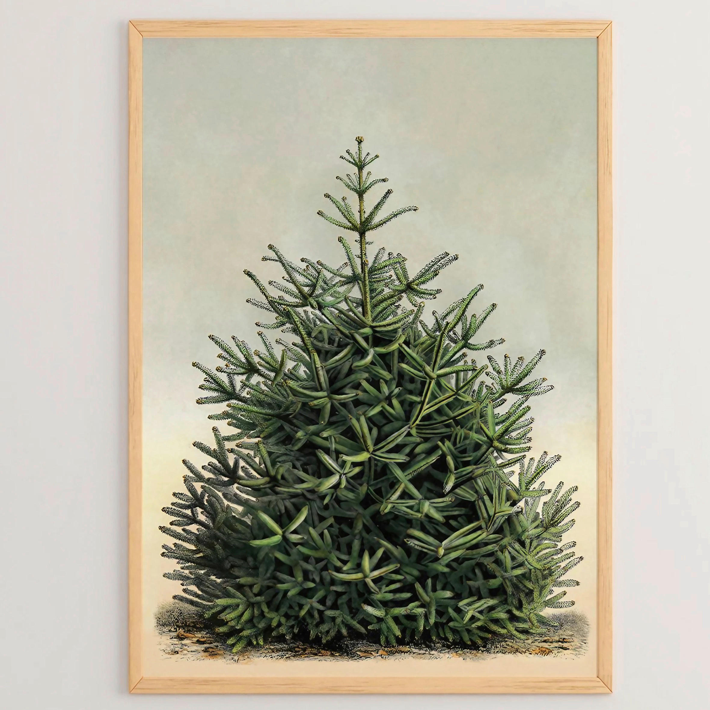 X-Mas Leinwandbild Grün, Salbeigrün 33x48x2 cm