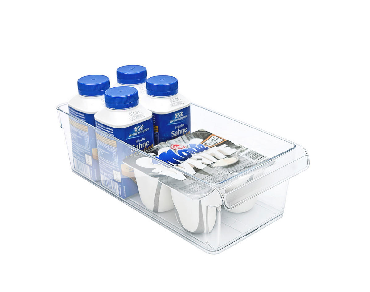 BOX DO LEDNICE   - průhledné, Basics, plast (31/14/9cm) - Rotho