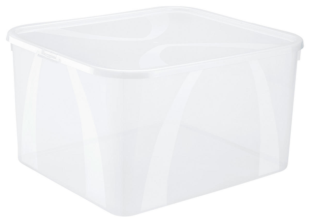 BOX MIT DECKEL    42/35,1/23 cm  - Naturfarben, KONVENTIONELL, Kunststoff (42/35,1/23cm) - Rotho