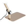 LED-SCHREIBTISCHLEUCHTE 98/20/22,5 cm  - Champagner/Schwarz, Design, Kunststoff/Metall (98/20/22,5cm) - Novel